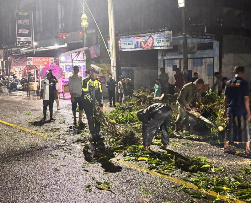 Satlantas Polres Aceh Selatan Sigap Amankan Jalan Akibat Pohon Tumbang di Meukek