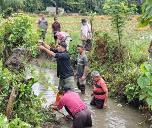 Tanggapi Keluhan Petani, Wabup dan Dinas Terkait Gotong Royong Saluran Tersumbat
