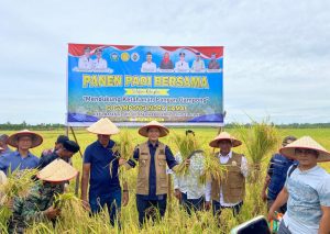 Dukung Ketahanan Pangan di Aceh Selatan, Bupati H Mirwan MS Panen Padi