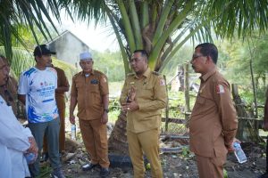 Wabup Raja Sayang Tinjau Abrasi Laut di Kuala Pesisir